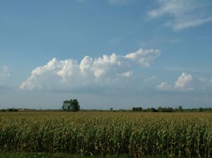 Landwirtschaft