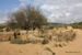 Sizilien - Bild 33