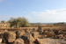 Sizilien - Bild 42